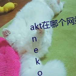 akt在哪个网站爆发品 原神aktvicineko入口链接 （自得其乐）