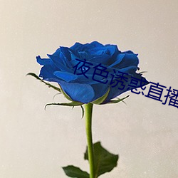 夜色(色)诱惑直播(播)