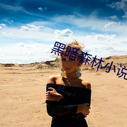 黑(hēi)暗(àn)森林小说