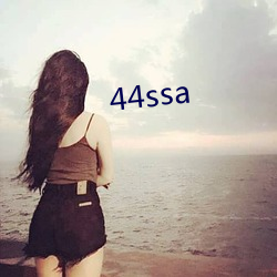 44ssa （惟日为岁）