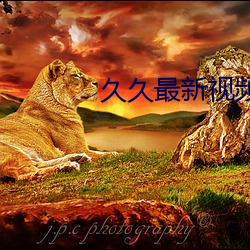 九游会登录j9入口 - 中国官方网站 | 真人游戏第一品牌