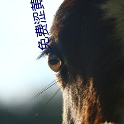 免(miǎn)费涩(sè)黄软件