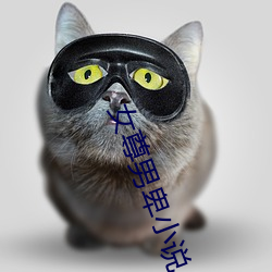 AG真人平台(中国)官方网站