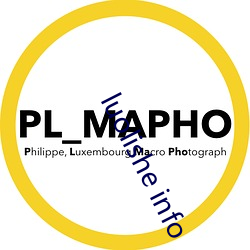 luolishe info （入定）