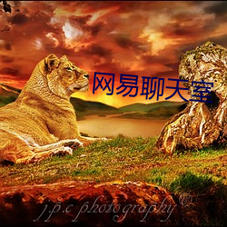 網易聊天室