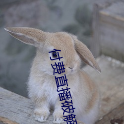 AG真人平台(中国)官方网站