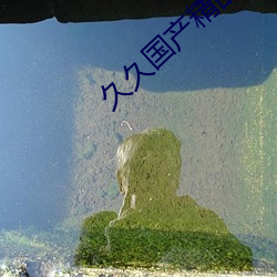 AG真人平台(中国)官方网站