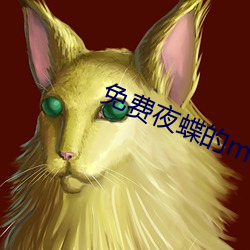 免費夜蝶的mv