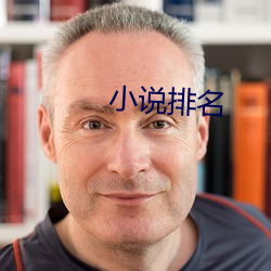 小说排名