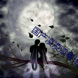 国产凌凌漆粤语版