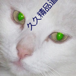 久久(jiǔ)精(jīng)品道一区(qū)二区三区功能非常丰富