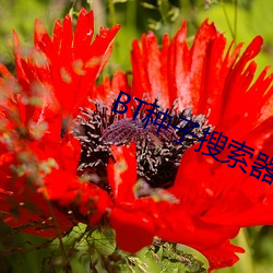 BT种子搜索器