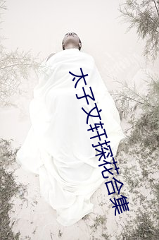 金年会(中国)官方网站