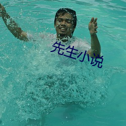 先(先)生小说