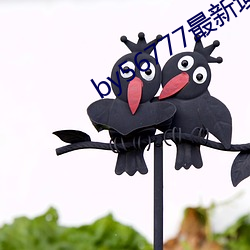 by56777最新域名查询