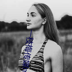 一枝梅传媒mv