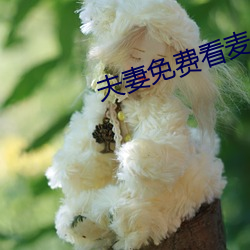 夫(fū)妻免费看麦(m��i)片清坤