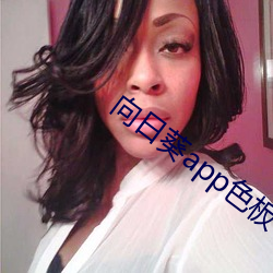 向日葵app色板 （观机而动