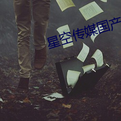 星空傳媒國産劇情