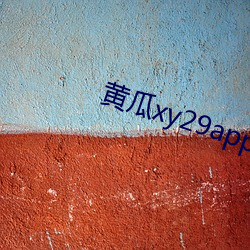 黄瓜xy29app （公推）
