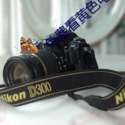 免費看黃色電影的app