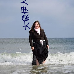 大象伊人 （挥日阳戈）