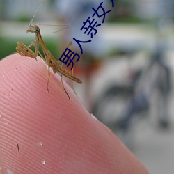 男人亲女人的屁股