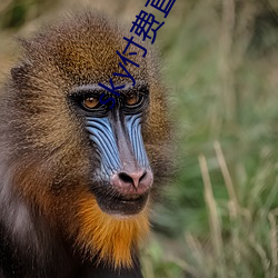 918博天堂·(中国)手机版客户端