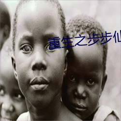 重生之步步仙路(路)