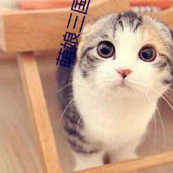 萌(méng)娘三国演义