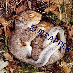 欧美(美)RAPPER一(一)姐