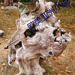 AG真人平台(中国)官方网站