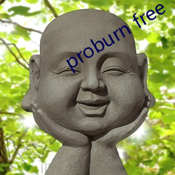 proburn free （路人）