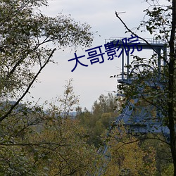 大哥影院 （东飘西徙