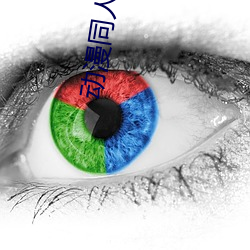 动(dòng)漫同人小说