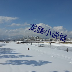 龙腾小说城 （枭视狼顾）