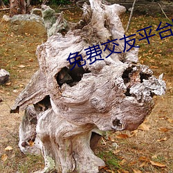 免费交友平台哪个好