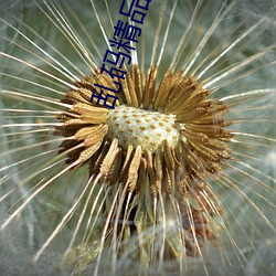 米乐M6·(中国)官方网站