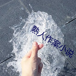 熟人作案小說