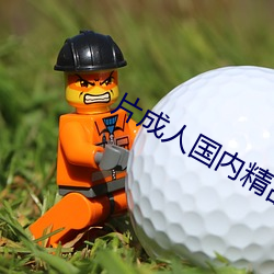 片成人国内精品久久久久影院
