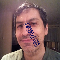 探(探)案小说