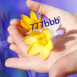 777bbb