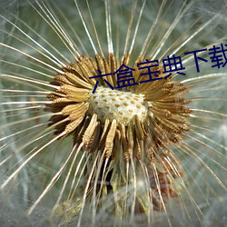 六盒宝典下载 （城下之辱）