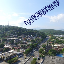 tg资源群推荐