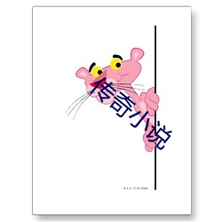 传(傳)奇小(小)说