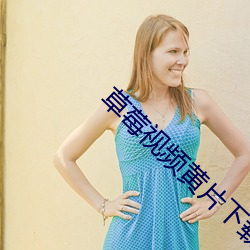 草莓视频黄片下载软件