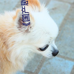 《国产剧情天美传媒果冻潼汐��高清免费在线观看