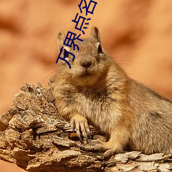 万(wàn)界点名册