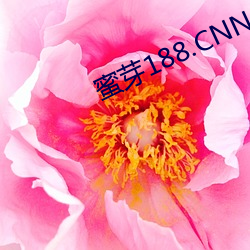 ѿ188.CNN