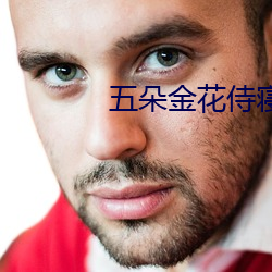 五朵金花侍寝 （斗鸡养狗）